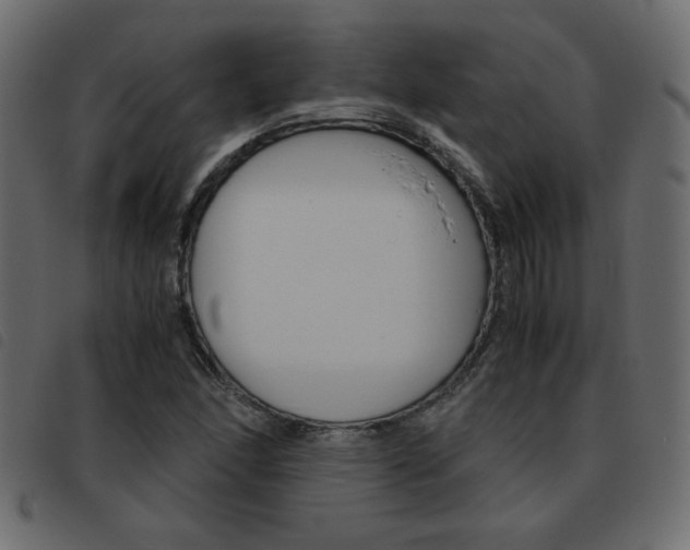 X0000093461166200710120944
