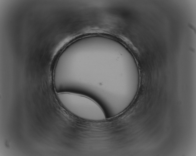 X0000093461167200710120944