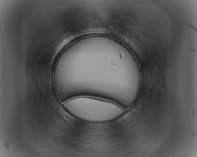 X0000093461168200710120944