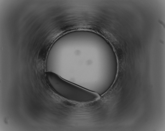 X0000093461169200710120944
