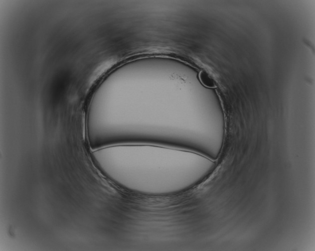 X0000093461171200710120943