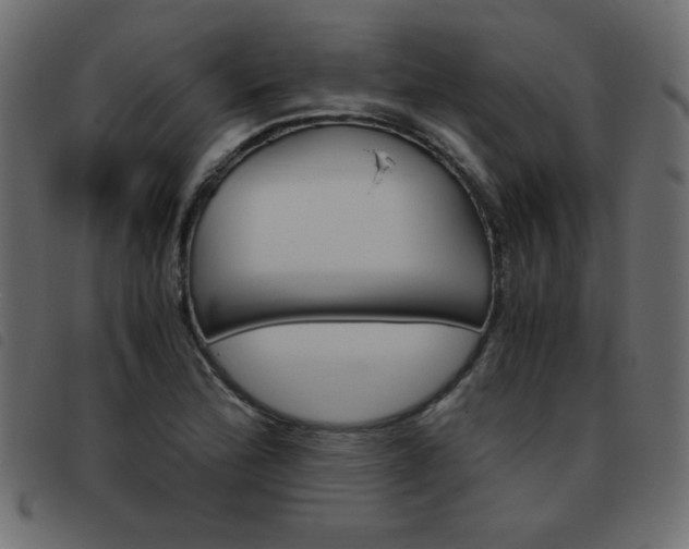 X0000093461172200710120943