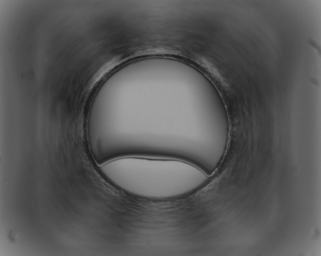 X0000093461173200710120943