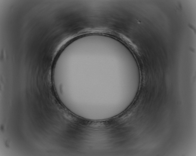 X0000093461174200710120943