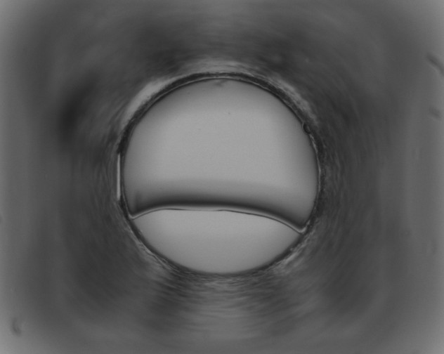 X0000093461175200710120943