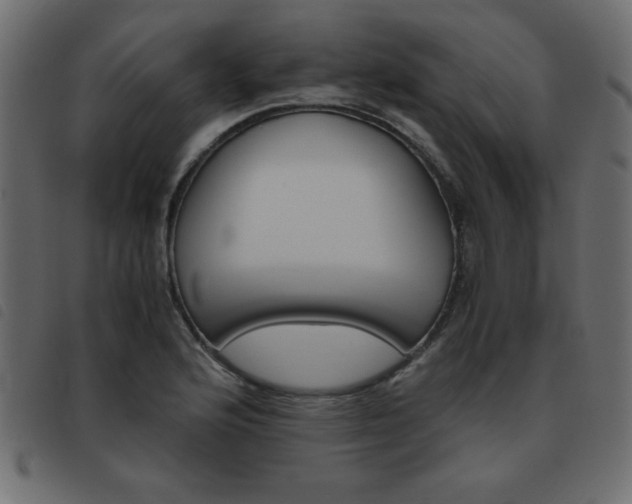 X0000093461176200710120943