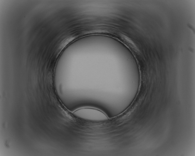 X0000093461177200710120943