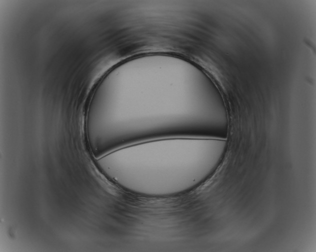 X0000093461179200710120943