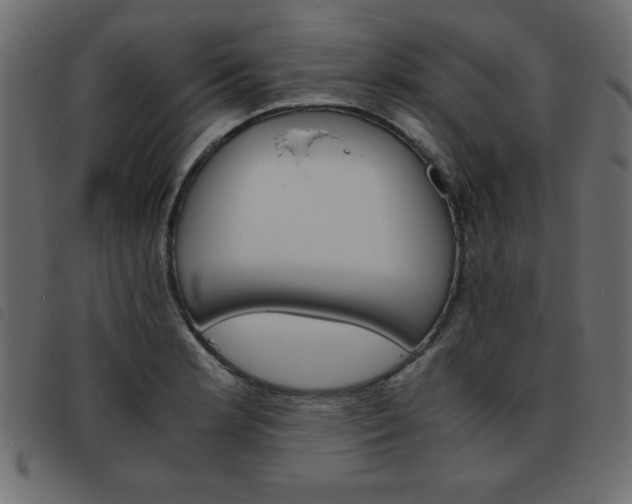 X0000093461181200710120943