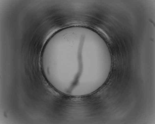X0000093461182200710120943