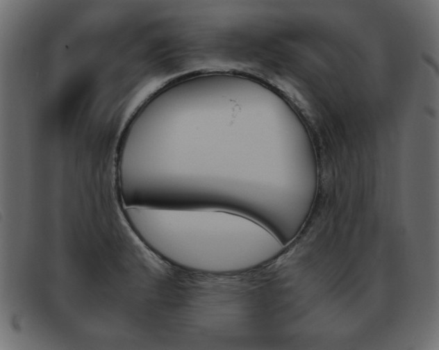 X0000093461183200710120943