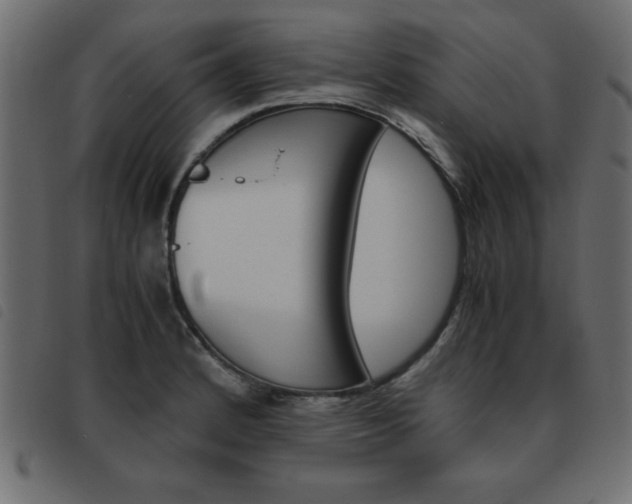 X0000093461184200710120943
