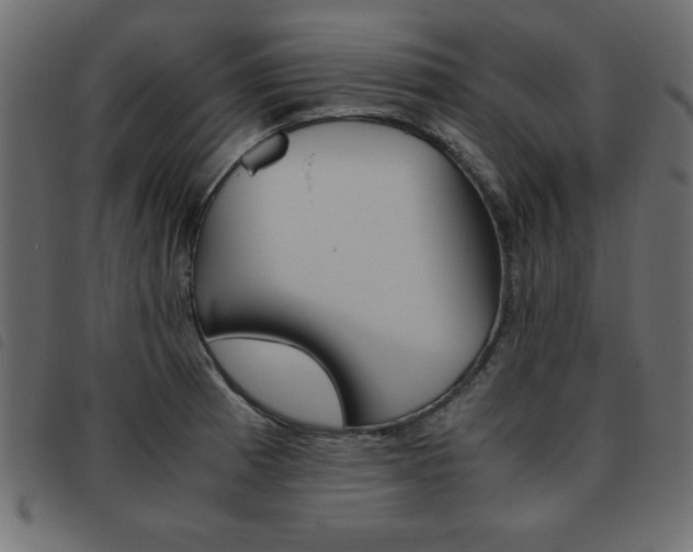 X0000093461185200710120943