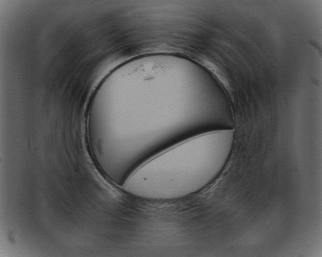 X0000093461187200710120943