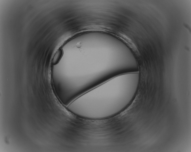 X0000093461188200710120943
