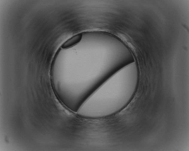 X0000093461189200710120943