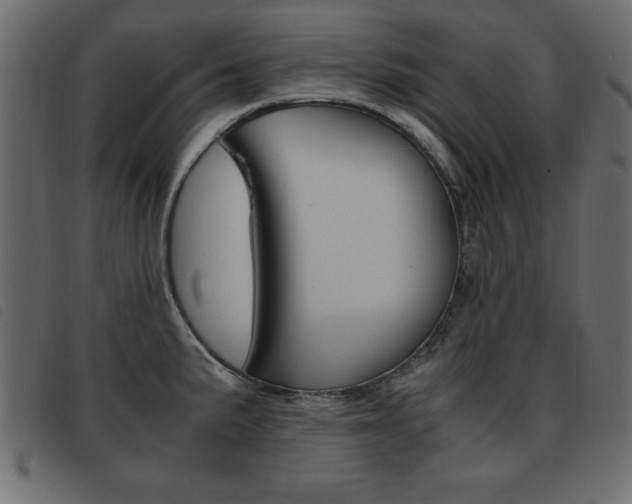 X0000093461191200710120943