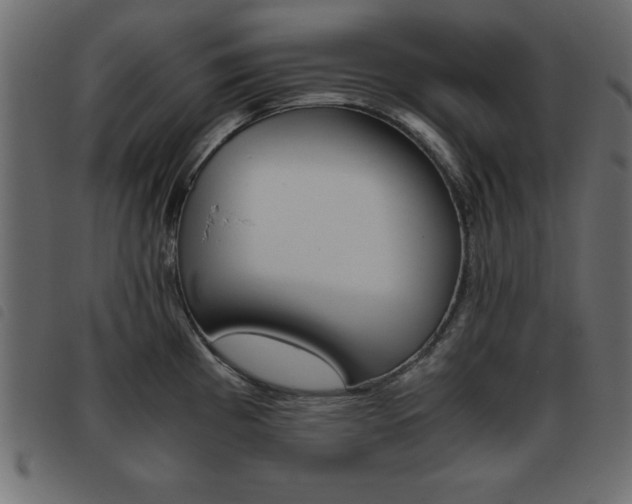 X0000093461193200710120943