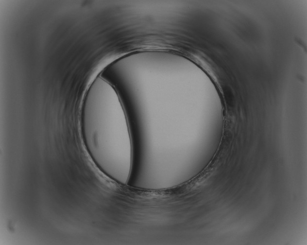 X0000093461195200710120943