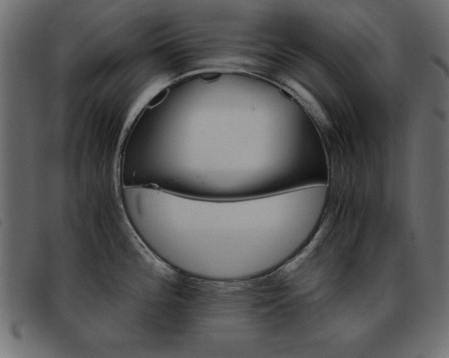 X0000093461196200710120943