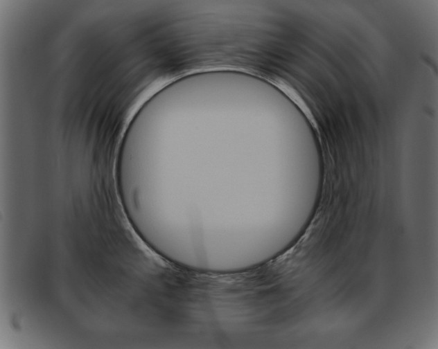 X0000093461197200710120943