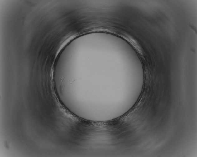 X0000093461198200710120943