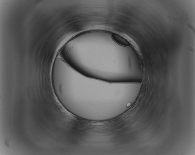 X0000093461199200710120943