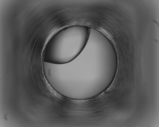 X0000093461200200710120943