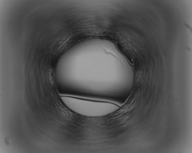 X0000093461202200710120942