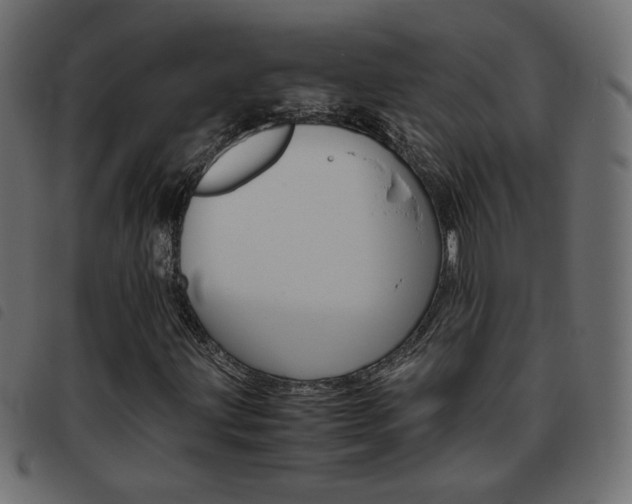 X0000093461203200710120942