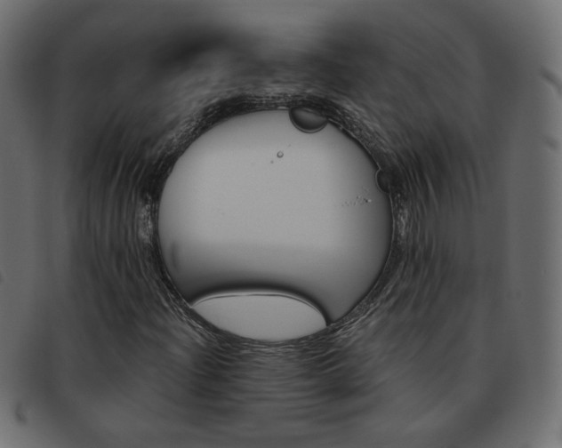 X0000093461204200710120942