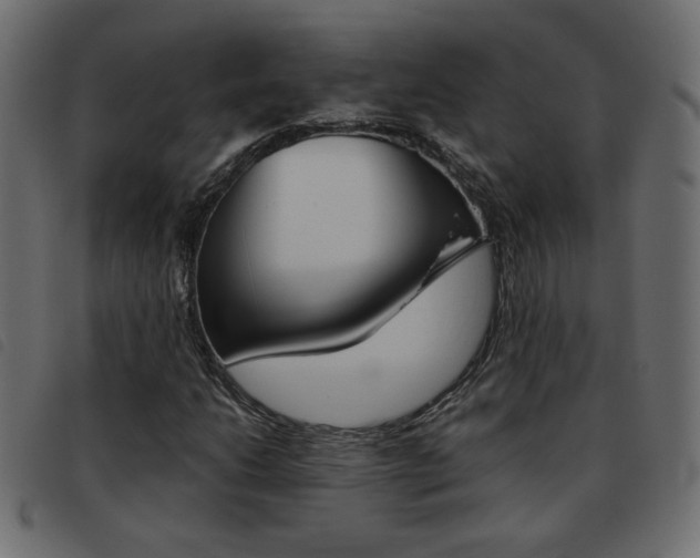 X0000093461206200710120942