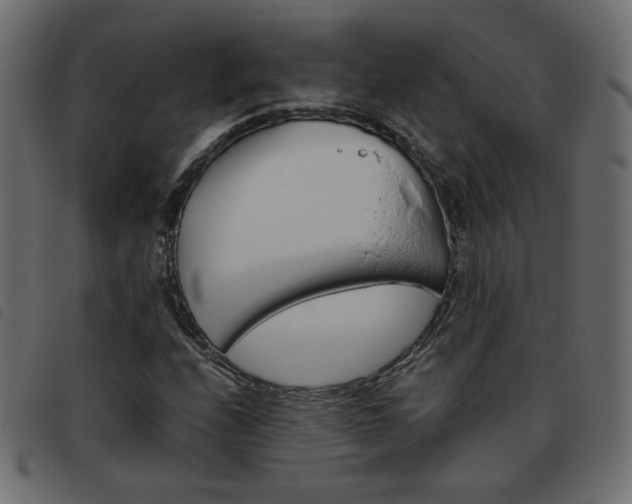 X0000093461208200710120943