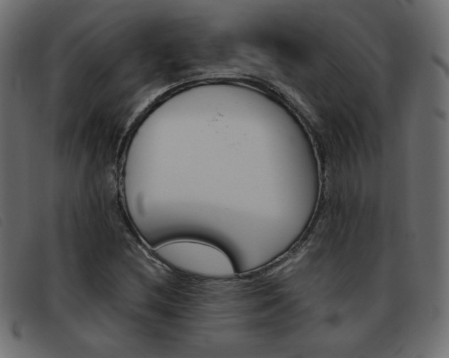 X0000093461212200710120943