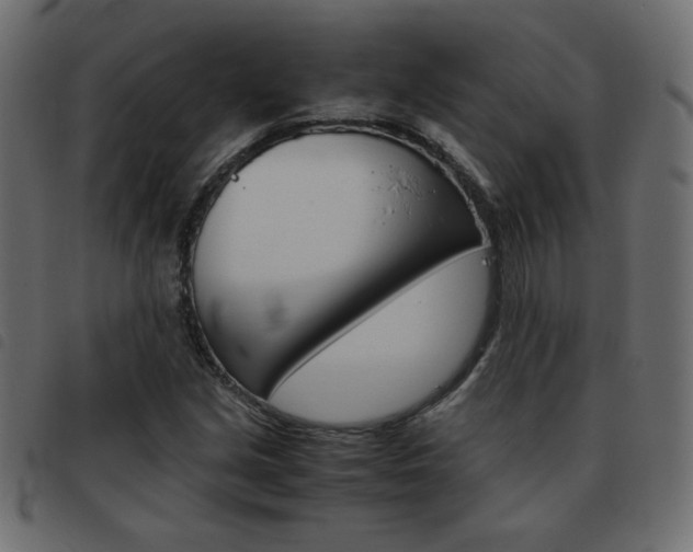 X0000093461213200710120943