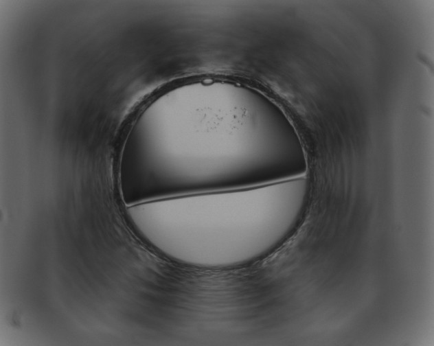 X0000093461214200710120943