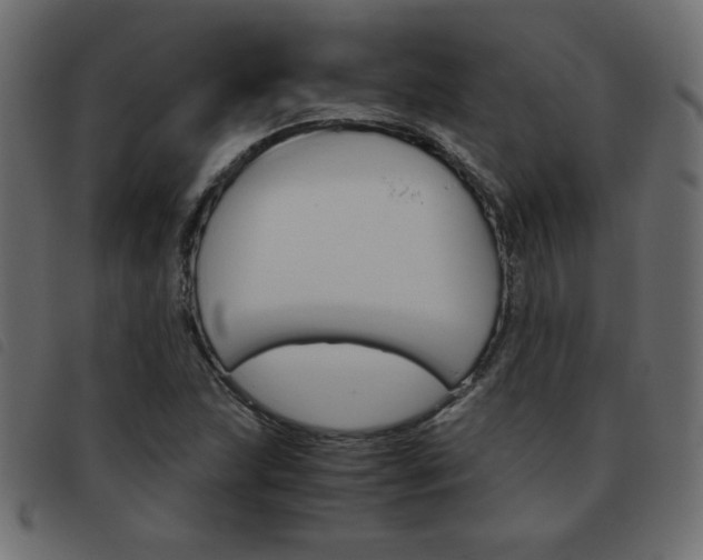 X0000093461215200710120943
