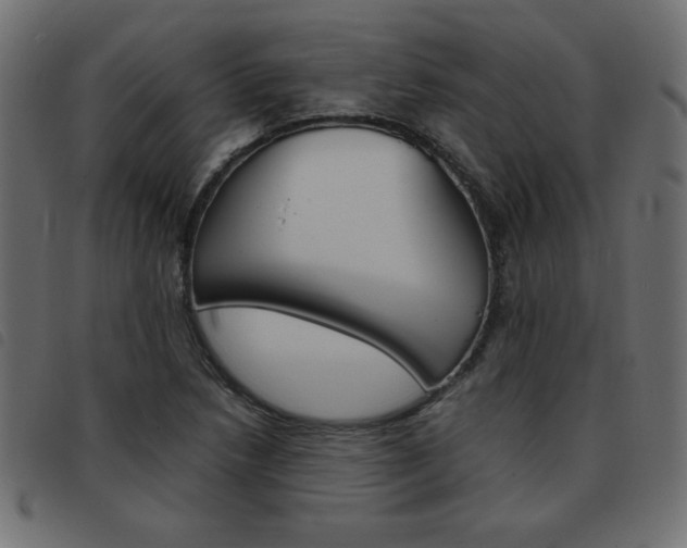X0000093461218200710120943