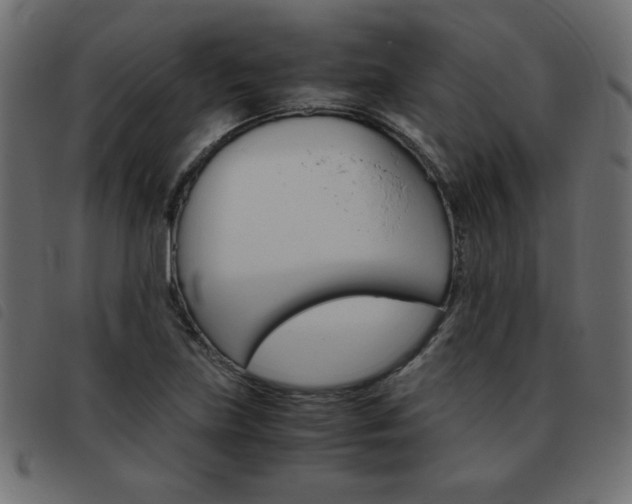 X0000093461219200710120943