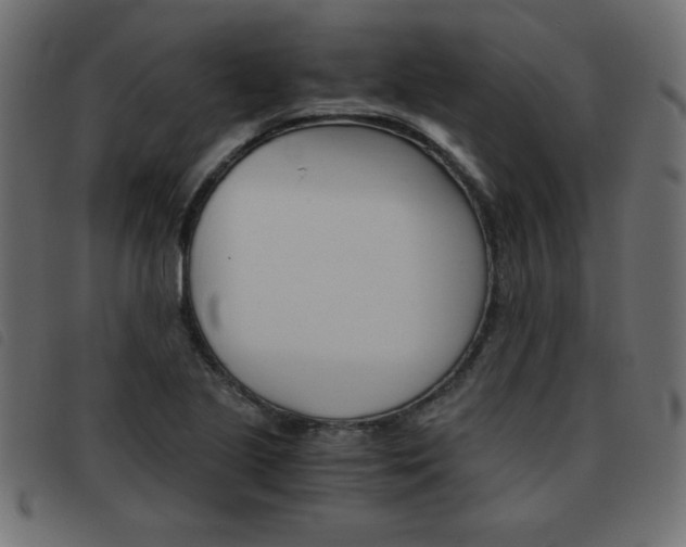 X0000093461221200710120943