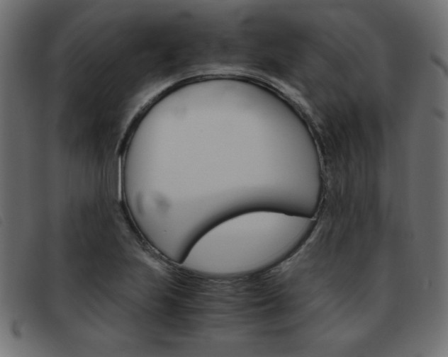 X0000093461223200710120943