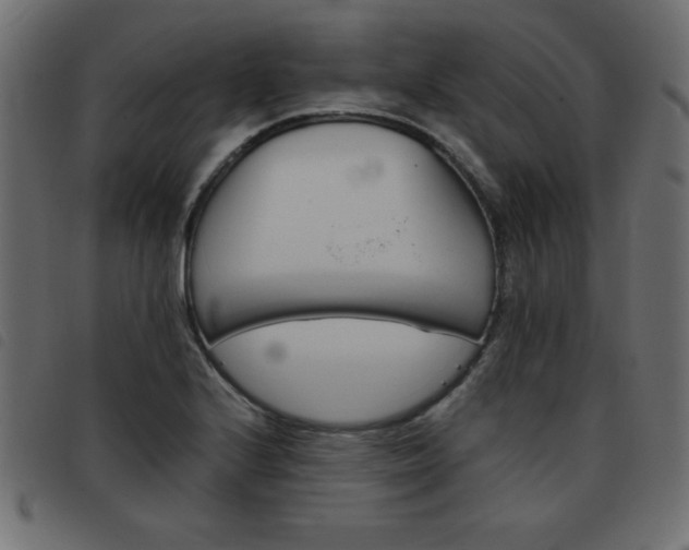 X0000093461224200710120943