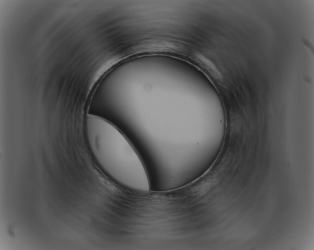 X0000093461226200710120943