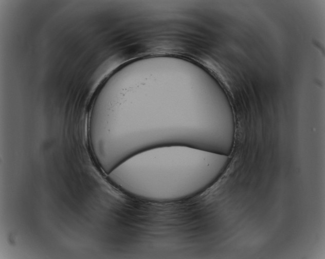 X0000093461227200710120943