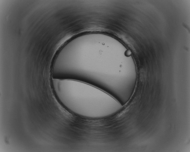 X0000093461229200710120943
