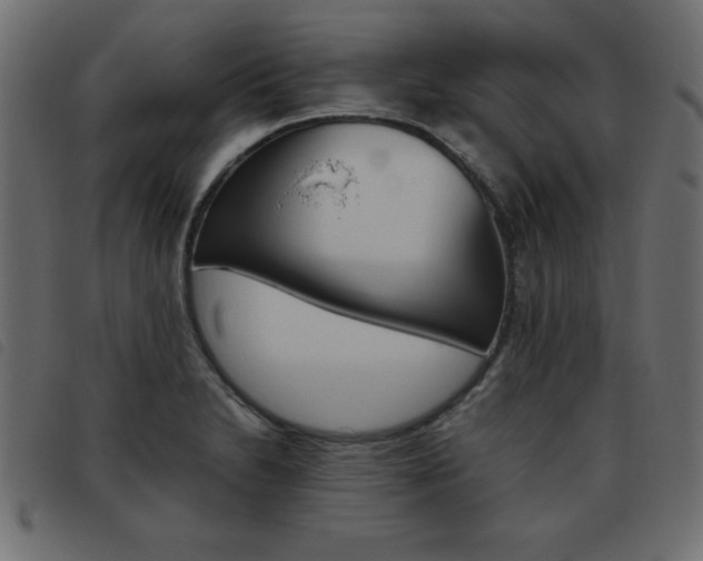 X0000093461230200710120943
