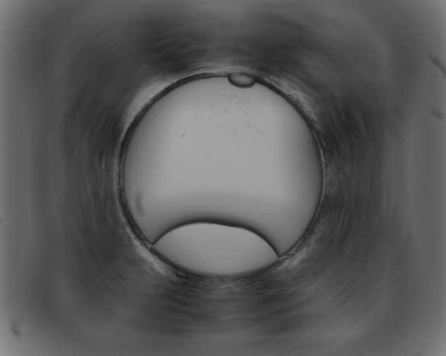 X0000093461231200710120943
