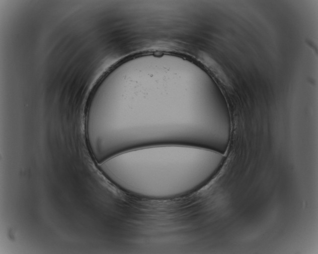 X0000093461232200710120943