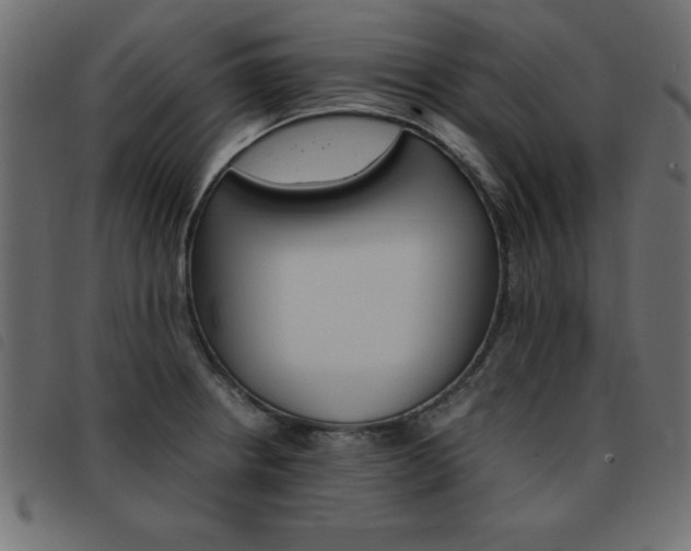 X0000093461234200710120943