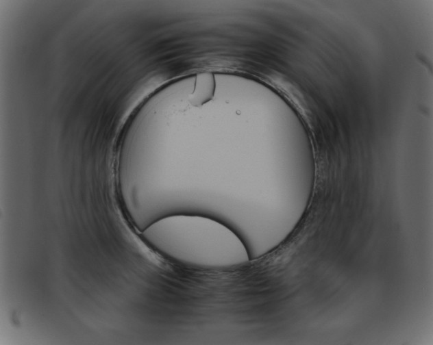 X0000093461235200710120943